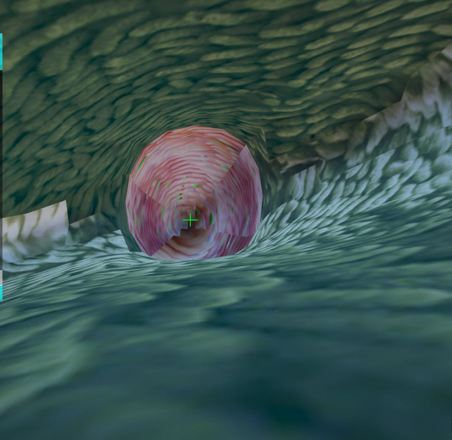 Inside of Megalodon