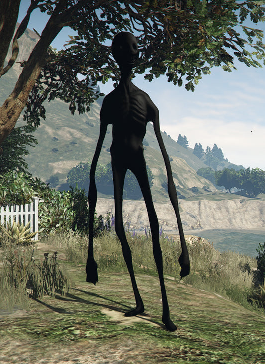 Void