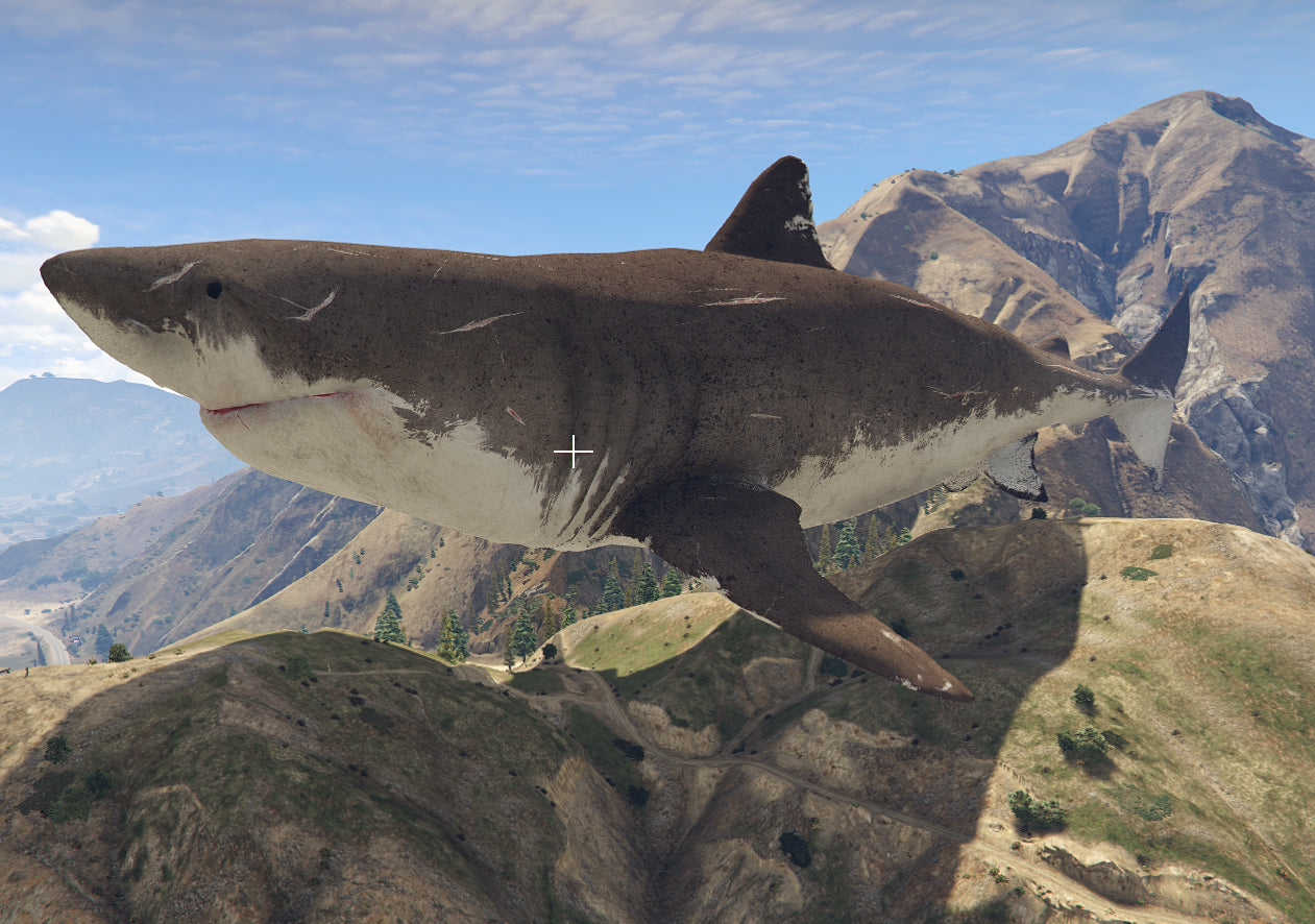 Big Shark Closed