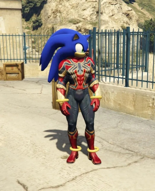 Sonic Spider 4