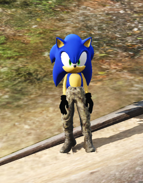 Sonic War 2