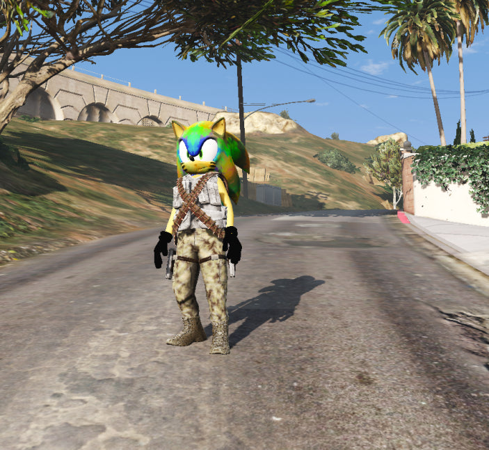 Sonic War 4