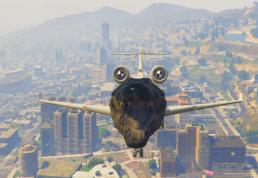 Cocodri Plane