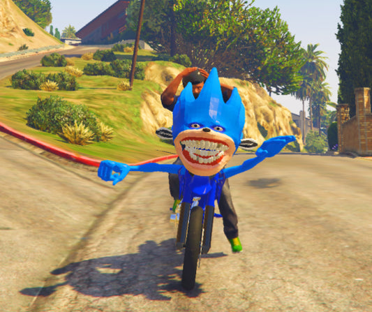 Shin sonic bike3