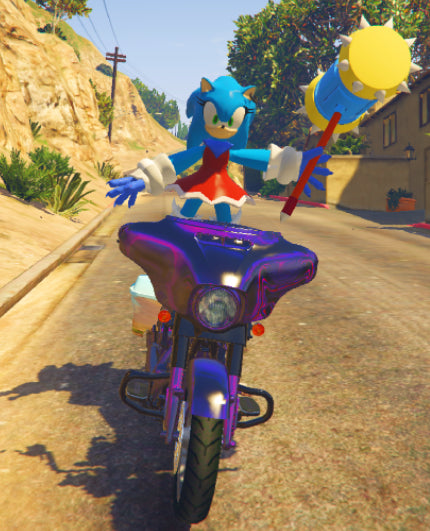 Sonic female bike 04