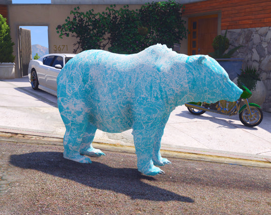 Ice bear