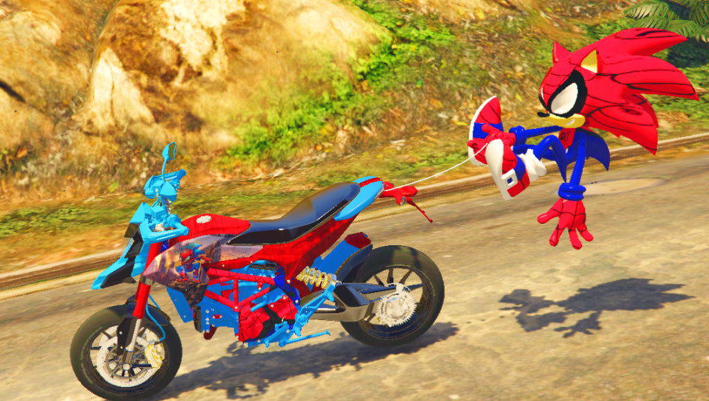 Sonic Spider 03