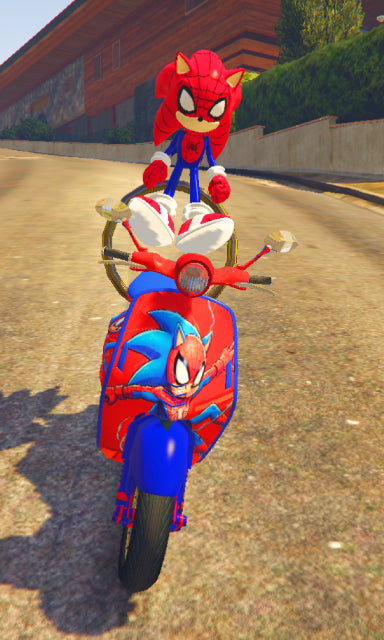 Sonic Spider 02