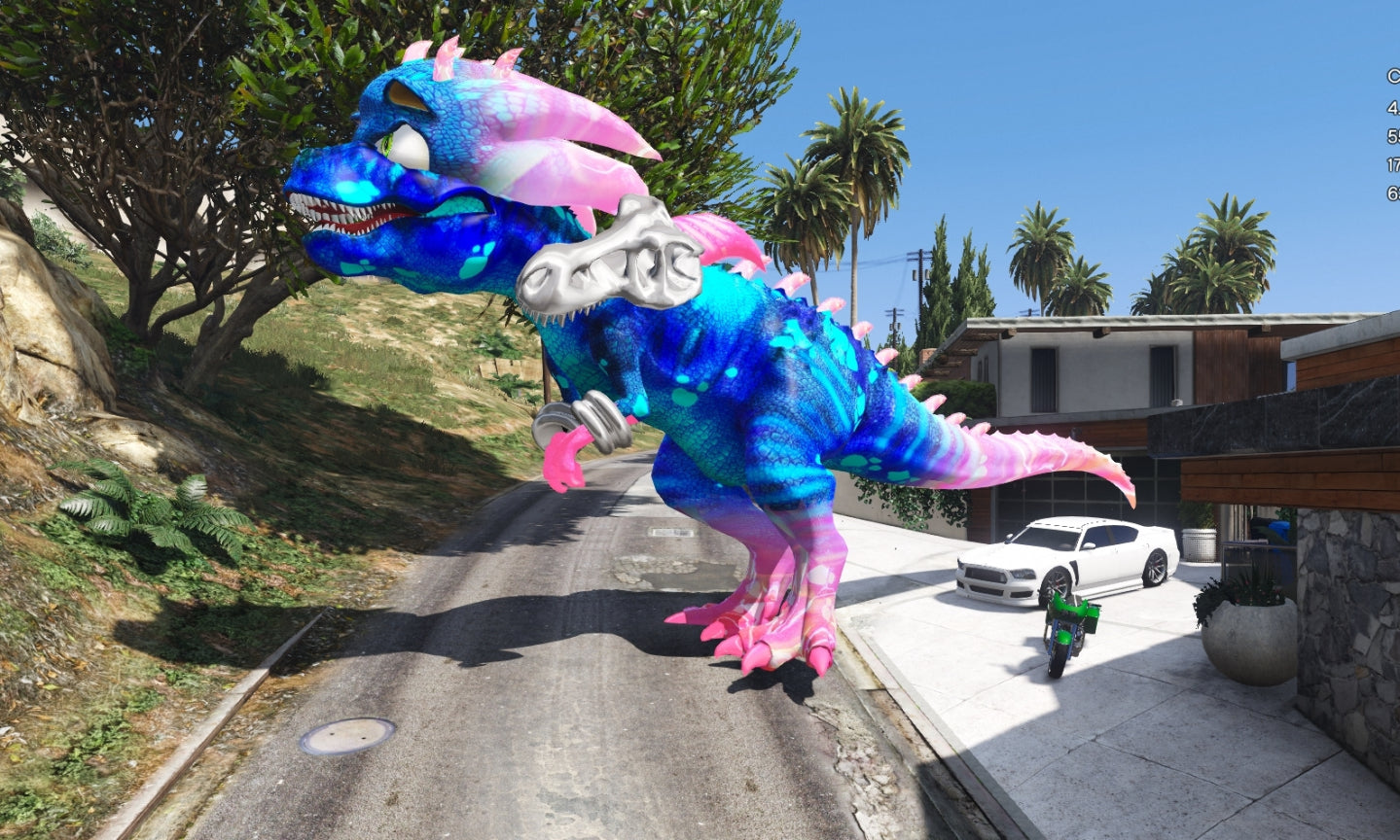 Sonic Dino 7