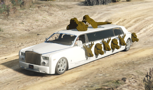 Squid Game Car 7