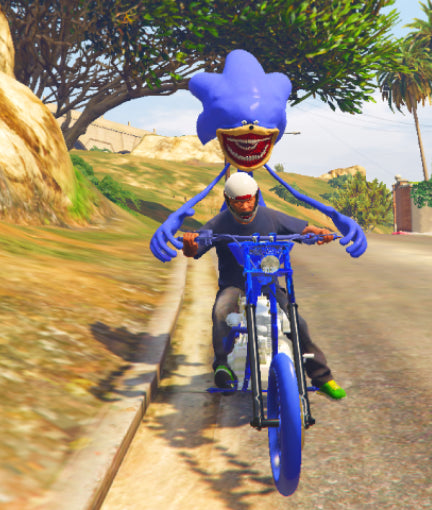 Shin sonic bike4
