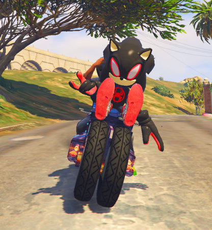 Sonic Spider 04