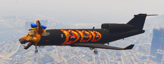 Dog Plane