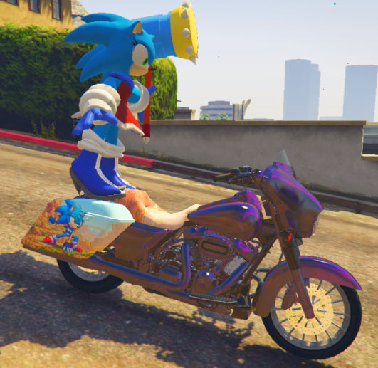 Sonic female bike 04