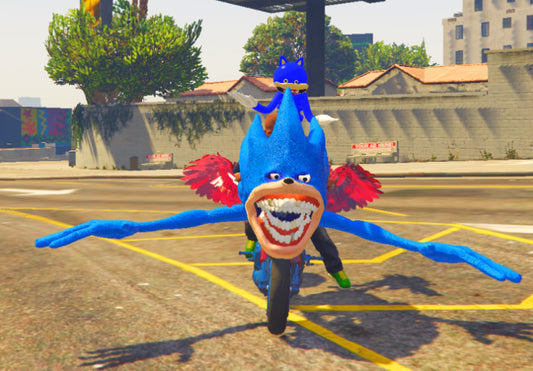 Shin sonic bike6