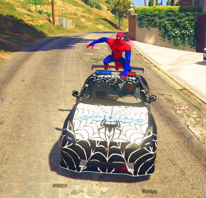 Spider Car 4
