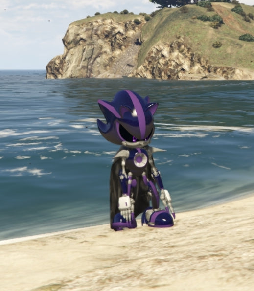 Sonic Dimension 2