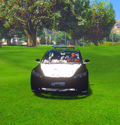 Tesla Cop 1