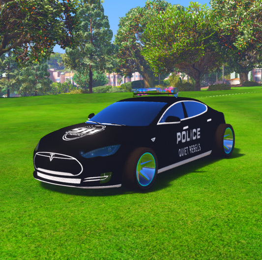 Tesla Cop 7
