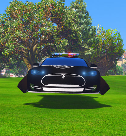 Tesla Cop 7