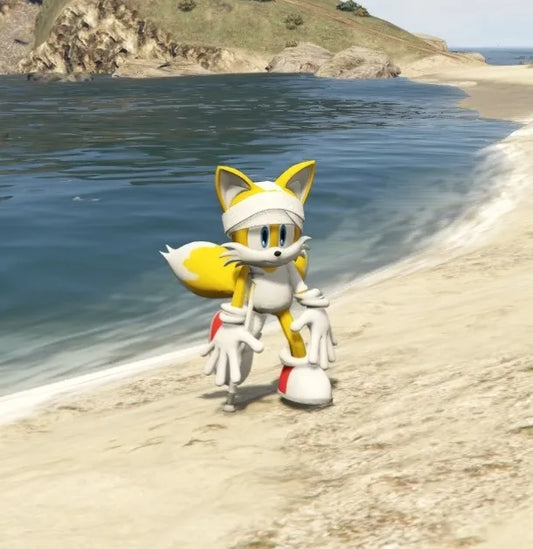 Sonic Tallest Tails 2