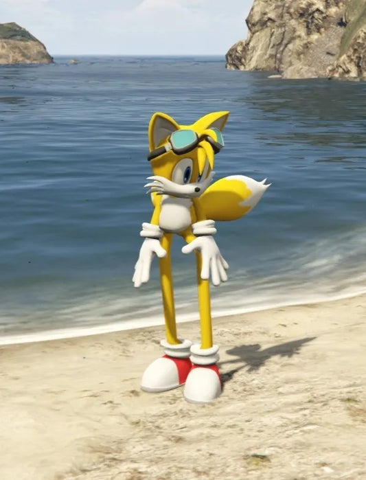 Sonic Tallest Tails 4