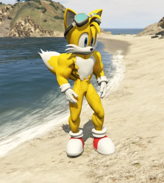 Sonic Tallest Tails 6